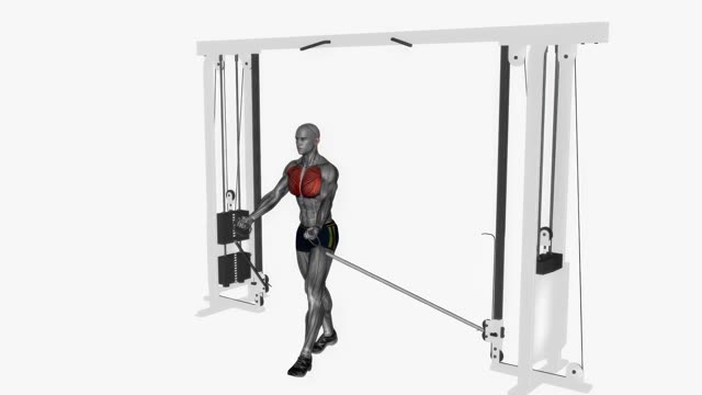 单臂龙门架夹胸