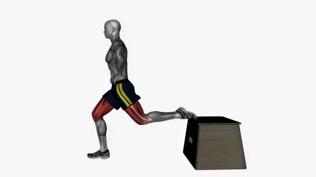 弓步蹲(跳箱起始)