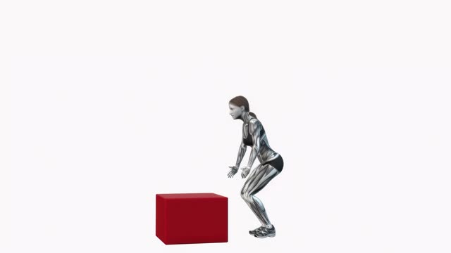 站姿起始位(跳箱)